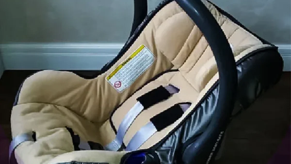 Автокресло переноска Britax Romer напрокат FISHERPRICE.by