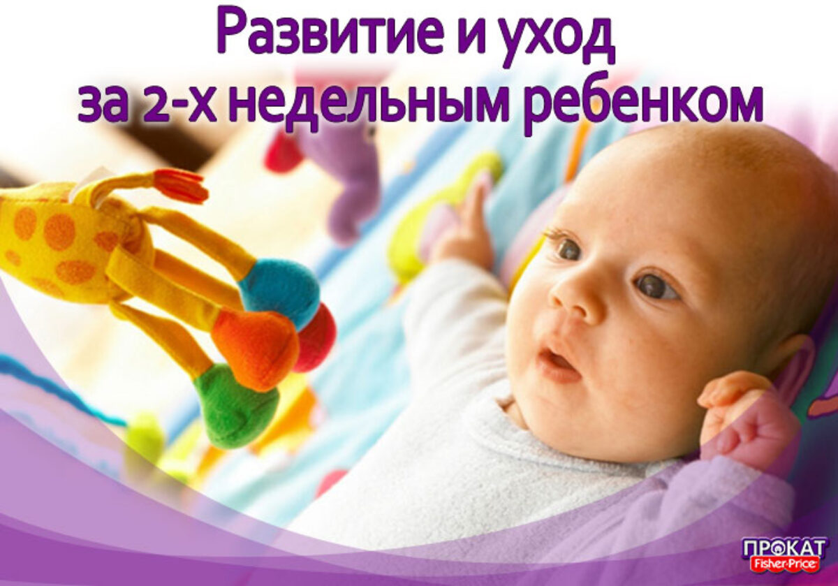 Развитие и уход за двухнедельным ребенком FISHERPRICE.by